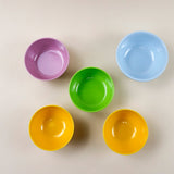 Melamine Ware with RFID chip